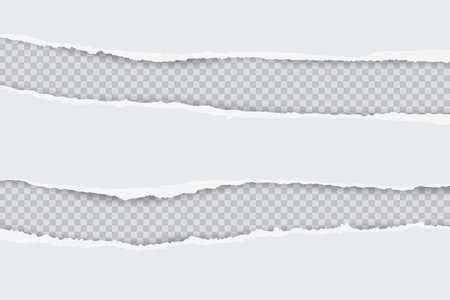 Torn white paper sheet with ripped edges on transparent background. Scrapbook edge, notebook tear, blank page split vector illustration. Damaged letter, document mockup, promotion bannerのイラスト素材