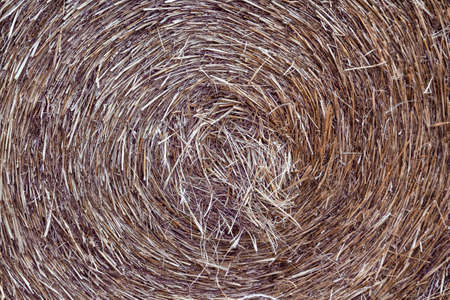 Swirling movement with a bale of hayの写真素材