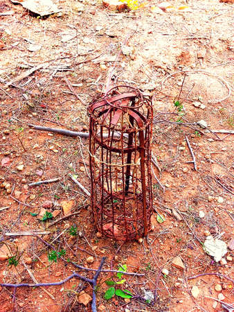 trap to catch armadilloの写真素材