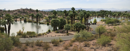 Palm trees surround the lakes at Papago Park in Phoenix, Arizonaの写真素材