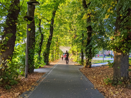 London, UK - 09.22.2021: Pedestrians walking in a tree-covered walkway in Walthamstow Town Square Gardens outside 17andcentral shopping mall with sunlight coming through the canopyのeditorial素材