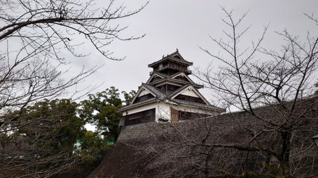Kumamoto, Japan - 01.26.2020: Uto-yagura Turret in Kumamoto Castle on a stone wall surrounded by tree branches in the winter under a cloudy skyのeditorial素材