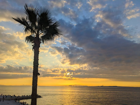 Rinku Town, Japan - 08.12.2024: A coconut tree and people on beach in front of sunset at Osaka Bay with Kansai Internation Aiport at horizon and dramatic clouds under a blue and golden gradient skyの写真素材