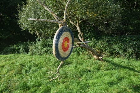 Target of straw hanging from the old tree branch with arrows throughの写真素材