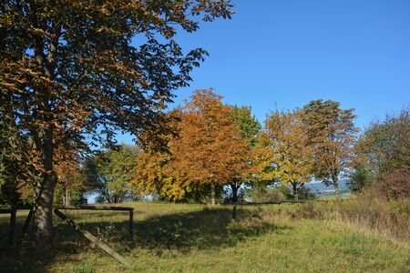 Autumnal landscape with colorful trees and wooden fenceの写真素材