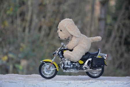 Dog soft toy sits on motorcycle outsideの写真素材