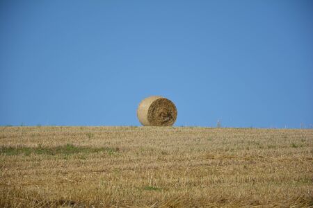 A straw bales in the horizon on harvested fieldの写真素材