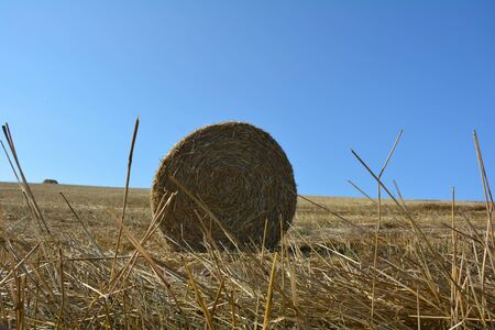 View from the ground on a straw bales with straws