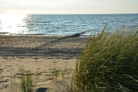 Beach with marsh grass and wooden stages on the North Sea at sunsetの写真素材