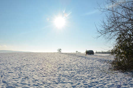 A field with lots of white snow, a car, people, blue skies and a bright sun on the horizonの写真素材
