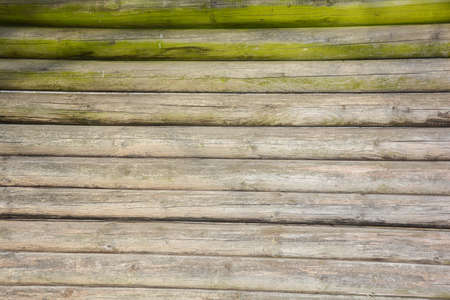Wooden planks with some moss as a backgroundの写真素材