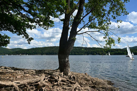 View of the Lake Edersee with sailing boats, a tree, blue sky and clouds, in Hesse, Germanyの写真素材