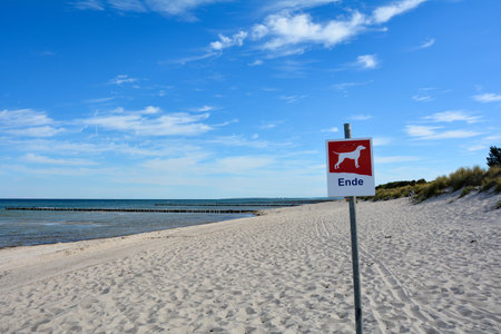 Sign with a dog and the German word "End" on the sandy beach, information that dogs are no longer allowed on the beach after the signの写真素材