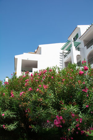 Bungalow complex with flowers bush on Canary Island Tenerife, Costa Adeje, Spainの写真素材