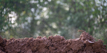 Fresh steaming earth soil in green natureの写真素材