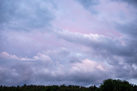 Colored sky with dramatic clouds and forestの写真素材