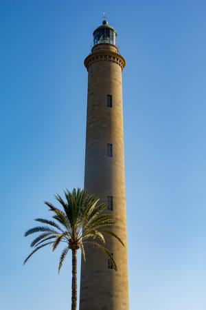 Lighthouse in Maspalomas ( Faro de Maspalomas ) on the Canary Island of Gran Canaria in Spain with palm treeの写真素材