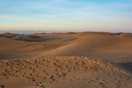 In the dunes of Maspalomas on Gran Canaria in Spain. The huge sand dunes resemble a small desert and are a nature reserve.の写真素材