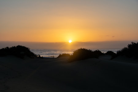 Sand dunes and sea in Maspalomas at sunset on Gran Canaria in Spain. The huge sand dunes resemble a...