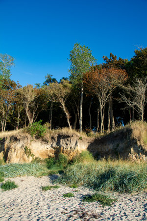 Dangerous cliffs with demolition danger on the island of Poel on the Baltic Sea, Germanyの写真素材