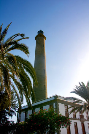 Lighthouse in Maspalomas ( Faro de Maspalomas ) on the Canary Island of Gran Canaria in Spain with palm treeの写真素材