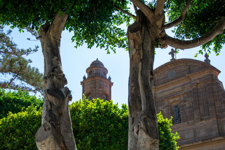 Tree overlooking part of the church of Santiago de los Caballeros, with a tower in the town of Galdar on the Canary Island of Gran Canaria, Europeの写真素材