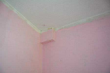 Pink walls with ceiling of an apartment during renovationの写真素材