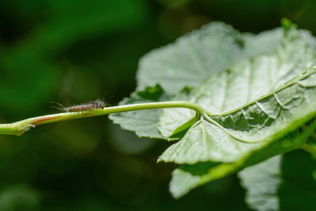 A caterpillar on a plant stem in green nature
