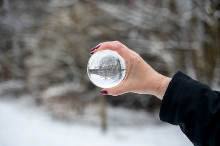 Human hand holding a glass ball, trees reflected in it on a cold winter day with lots of snowの写真素材