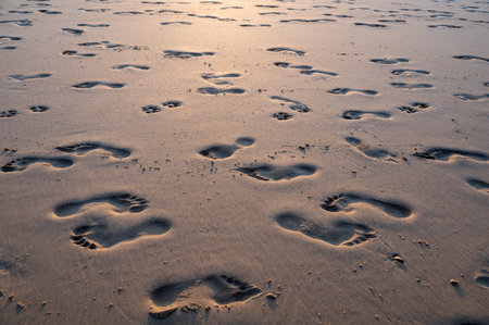 Many footprints in the wet sand by the sea, in the evening light