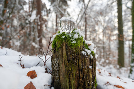 Glass ball on snow-covered tree stump on a cold winter day in the forest, with reflections of trees in the glassの写真素材