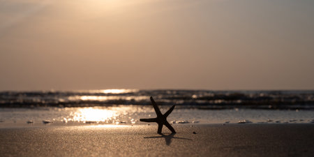 A starfish in the sand on a beach in front of the ocean waves at sunsetの写真素材