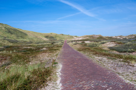 Cycling and hiking trails in a dune landscape, in a nature reserve near Egmond aan Zee in the Netherlandsの写真素材