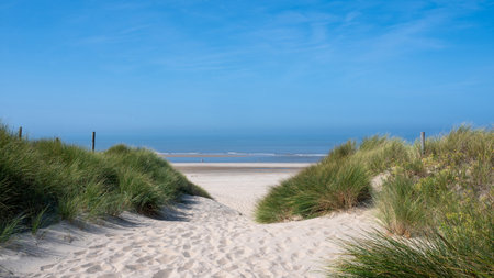 View over the dunes with beach grass towards the sea, on the North Sea coast in the Netherlands with a blue skyの写真素材