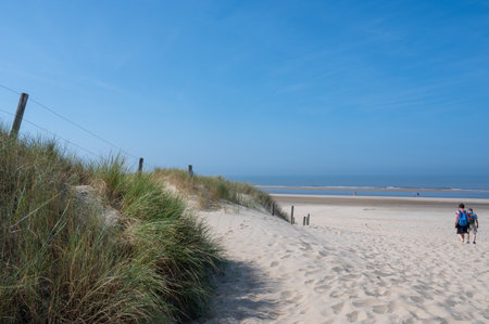 View over the dunes with beach grass towards the sea, on the North Sea coast in the Netherlands with people and a blue skyの写真素材