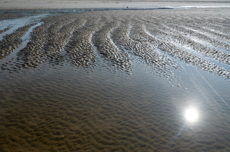 Ripple marks at low tide in the sand in the sunlight, with the reflective sun