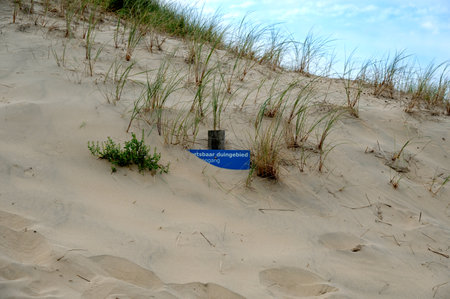 Blue Warning sign in Dutch with the inscription: Endangered dunes. No access. Sign in the middle of...