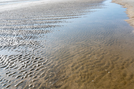 Ripple marks at low tide in the sand in the sunlight