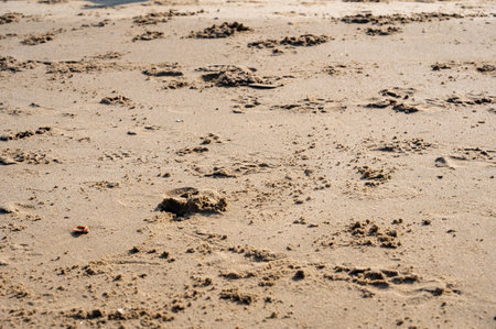 Stirred up wet sand at a sea