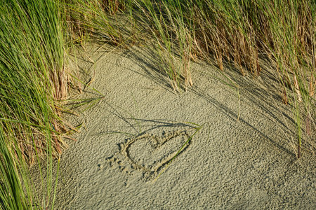 Painted heart in the sand in the dunes between beach grassの写真素材