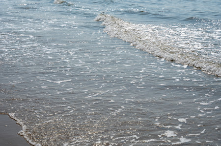 Waves on the sandy beach by the sea