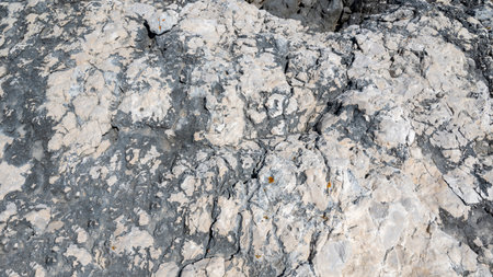 Surface of a Rock in Nature