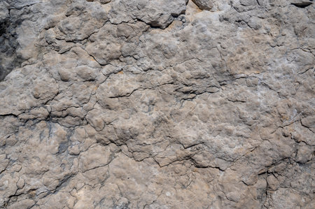 Surface of a Rock in Natureの写真素材