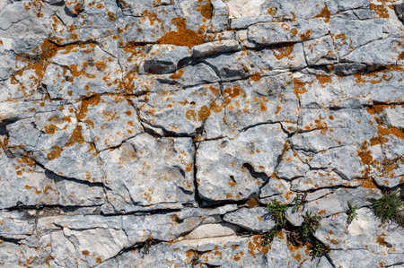 Rock texture with orange lichens, a natural background
