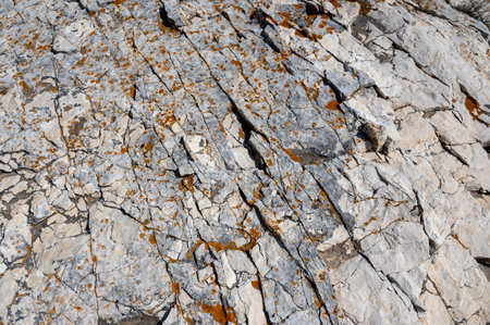 Rock texture with orange lichens, a natural background