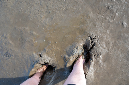 Human legs stepping into wet, muddy ground and showing a deep footprint in the soft soil texture, in the Wadden Seaの写真素材