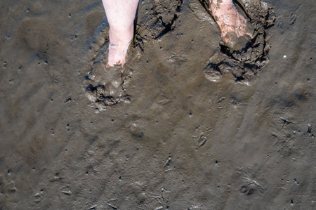 Human legs stepping into wet, muddy ground and showing a deep footprint in the soft soil texture, in...