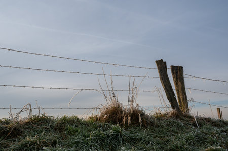 Barbed wire fence on a pasture with ground frost on a cold winter day in the early morningの写真素材