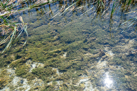 Background image with a view of a lake to the bottom of the ground with clear water