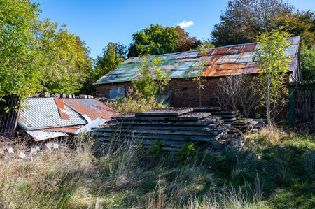 Building materials left behind in front of an old house with green plantsの写真素材